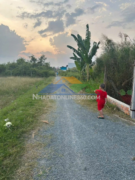 Chính chủ bán 2 nền đất liền kề hẻm đường d5, khóm 4, phường 5, tp trà vinh, trà vinh