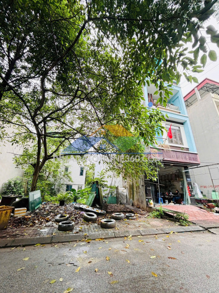 Bán đất phố nguyễn tự cường – p. kinh bắc – tp bắc ninh