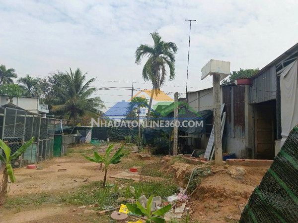 Đất vàng củ chi – sát địa đạo bến đình – đón đầu 2 dự án lớn