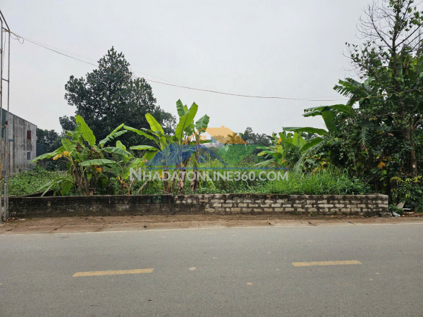 Cho thuê nguyên tầng 3, dt: 25m2, giá tốt gần bến xe giáp bát, ga...