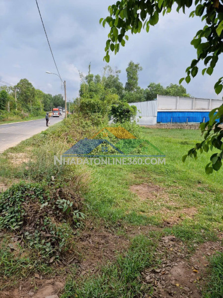 Bán gấp đất mặt tiền  kênh 5 bình lợi bình chánh 1.5ha, giá 42 tỷ - giá đầu tư