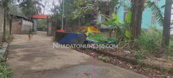 Nhanh tay sở hữu lô đất đẹp tại 173 đường ngọc hồi, xã thanh trì - phù hợp cho kinh doanh