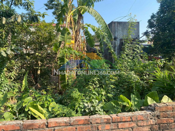 Bán 55 m2 đất giao tất – thuận an (gia lâm), giá chỉ 3.05 tỷ, lh 0985865658