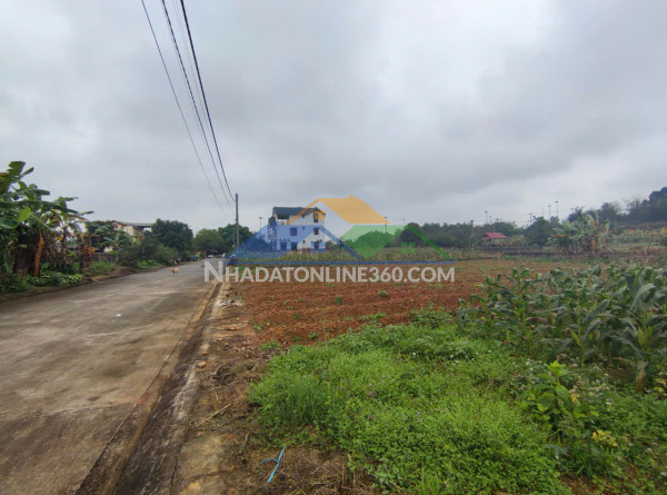 Quỹ đất đẹp trung tâm hòa lạc – sản phẩm dành riêng cho nhà đầu tư tầm nhìn