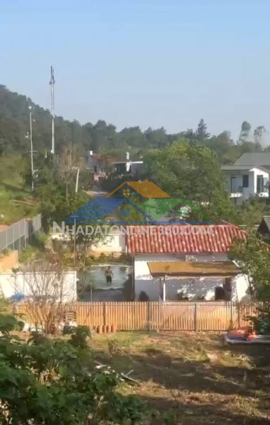 Hơn 14.600m2, mt hơn200m. nguyên quả đồi, 39 tỷ, minh phú, sóc sơn, kd dưới tán rừng.