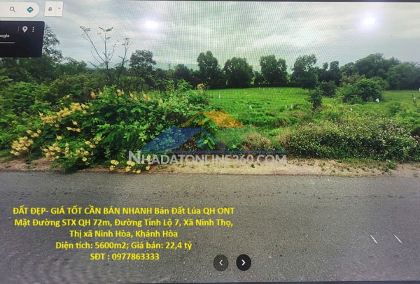 Đất đẹp- giá tốt cần bán nhanh bán đất lúa qh ont mặt tiền đường stx qh72m khánh hòa
