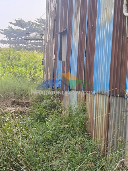 Thuê đất vườn – diện tích lớn 3.200m² – có thể dựng nhà – vị trí thuận tiện tại bình tân