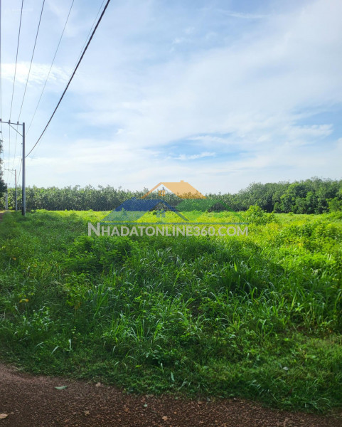 Chính chủ bán nhanh lô đất 1,4ha ngay ngã 3 trị an-vĩnh cửu