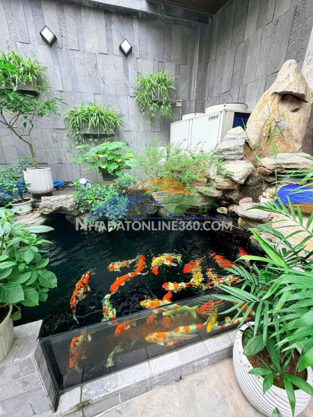 22,9 tỷ  biệt thự thang máy – bể bơi  273m² (sd ~320m²)  an trực – hồng bàng