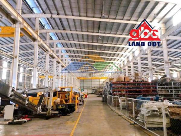 Xt055 cho thuê nhà xưởng, khung thép kiên cố thu hút nhiều ngành nghề, sẵn xưởng