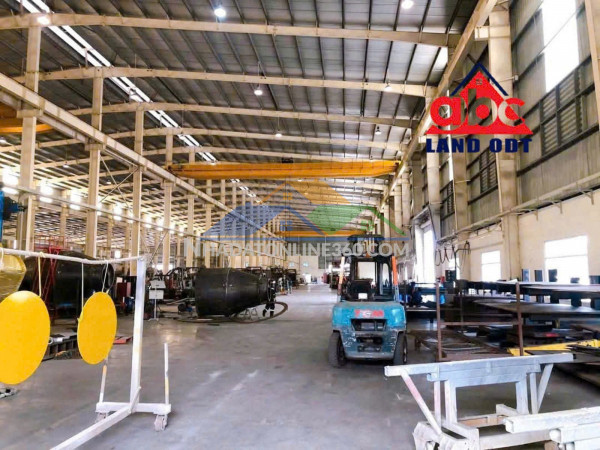 Xt055 cho thuê nhà xưởng, khung thép kiên cố thu hút nhiều ngành nghề, sẵn xưởng