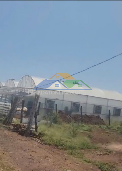 Bán nhà vườn 1000m2  đức trọng – lâm đồng - giá 3 tỷ 250 triệu