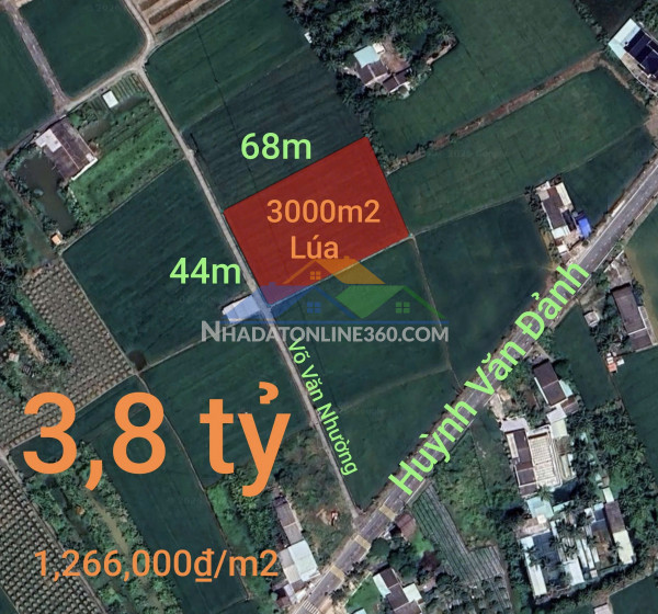 Bán đất lúa chuyển thổ xã vàm cỏ gần quốc lộ 50b giá 3,8 tỷ