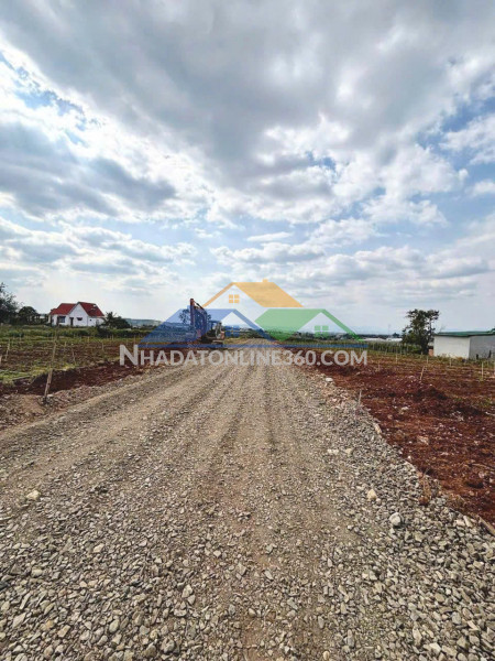 Bán đất 130m2 tổ 34 liên nghĩa - đức trọng - lâm đồng 1 tỷ 650 triệu