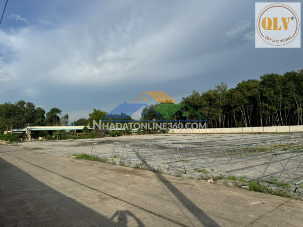 Cho thuê nhà xưởng Phước Hòa, Phú Giáo, Bình Dương 10.000m²