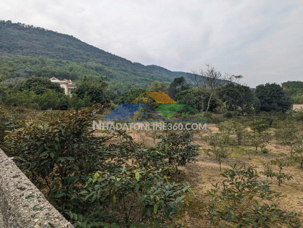 Cơ hội sở hữu đất nghỉ dưỡng vàng tại côn sơn – kiếp bạc