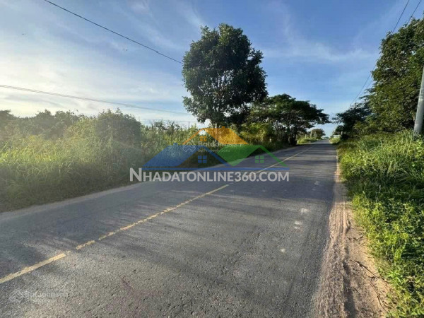 Bán đất chính chủ đường lộ 785c xã tân hà, huyện tân châu, tây ninh