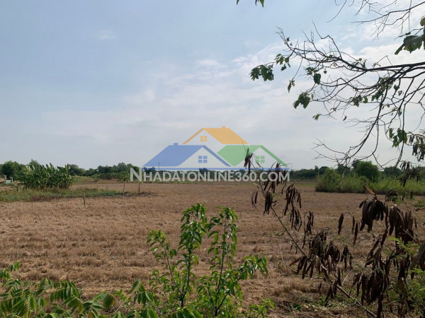 Đất mặt tiền - hưng long, đa phước, bình chánh 15000m² chỉ  70...