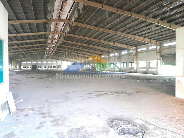 Xt057 cho thuê xưởng tổng diện tích 40.000m2 khung thép kiên cố, trống xưởng