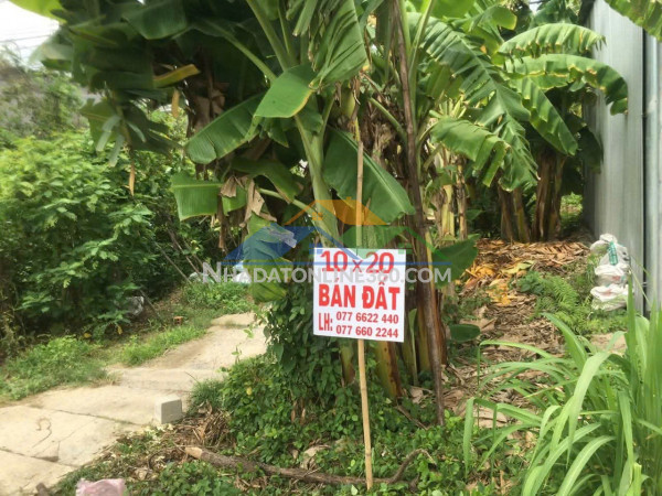 Đầu tư sinh lời - bán gấp lô đất tiềm năng tại xã mỹ an-huyện mang thit-tỉnh vĩnh long