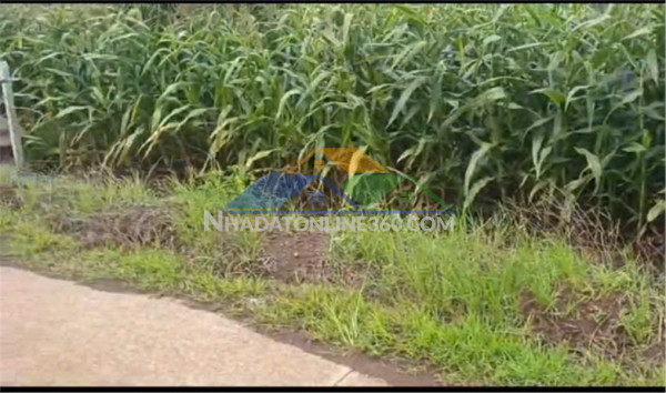 Đất đẹp – giá tốt - chính chủ bán đất  xã lang minh, huyện xuân lộc, đồng nai