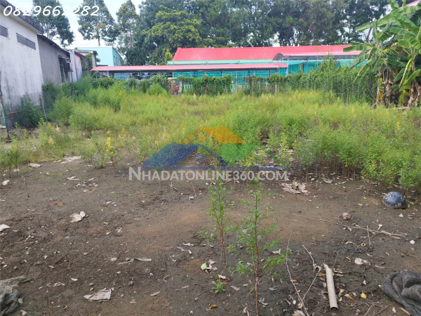 Bán đất thổ cư 547m2 sổ hồng đường 848, tân khánh đông, sa đéc. hướng đông nam. giá 2.6 tỷ.