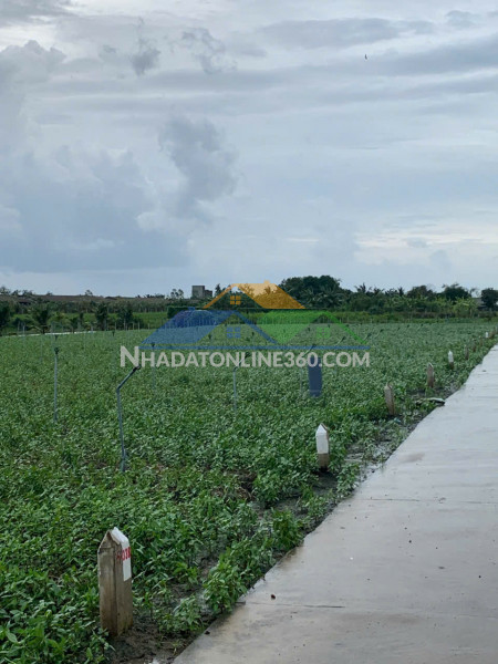 Đất mặt tiền nhựa tại tp tây ninh giá chỉ 19.2tỷ