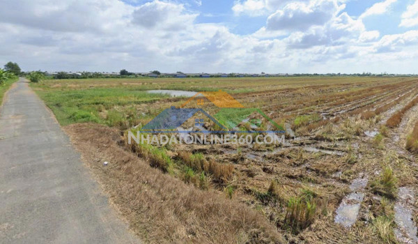 840tr đất mặt tiền đường nhựa 3m tại bình ân