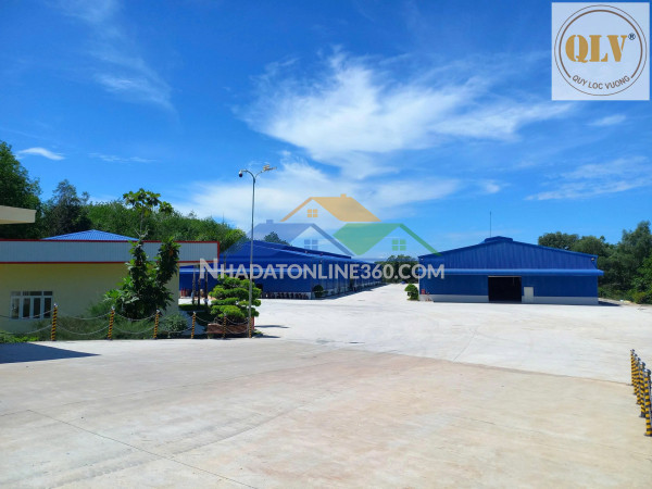 Bán đất xây nhà xưởng Phước Hòa, Phú Giáo, Bình Dương 28.500m²
