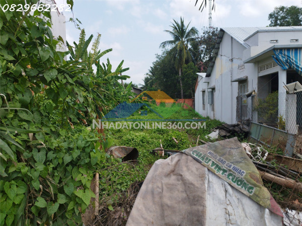 Bán đất thổ cư sổ hồng 305m2 đường phạm hồng thái, tp. sa đéc, đồng tháp. giá 2 tỷ.