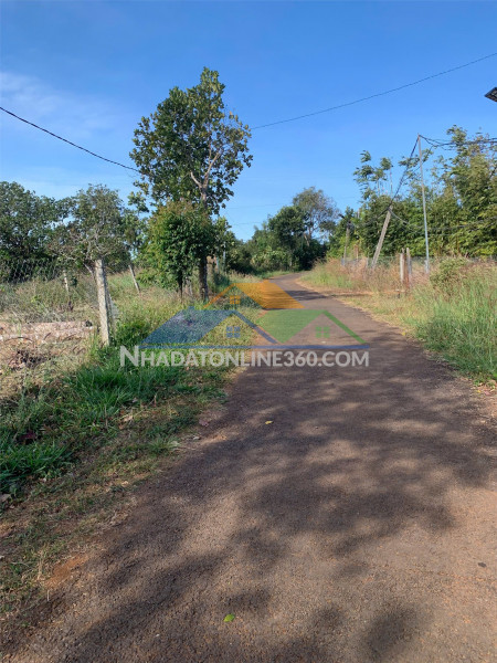 Đất đẹp – giá đầu tư –cần bán đất tại tdp dân tiến, p. quãng thành, gia nghĩa, đắk nông