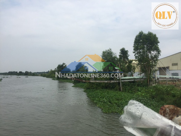 Bán kho, nhà xưởng tại Thị trấn Gò Dầu, Huyện Gò Dầu, Tây Ninh 36.176m²