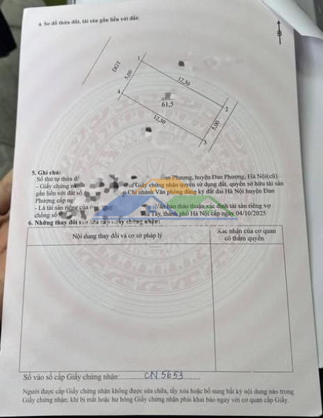 61.5m siêu phẩm đồng sậy – đan phượng - hàng hiếm khó tìm