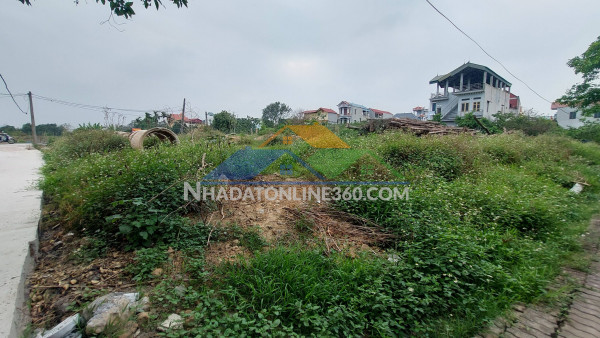 1250m2, mt85m, đất ruộng, sxnn, thổ cư, lô góc, 13.5 tỷ, đông anh.