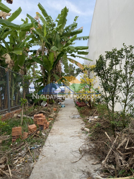 Đất đẹp - bán gấp lô đất tiềm năng mặt tiền đường châu văn liêm, phường 9, thành phố cà mau