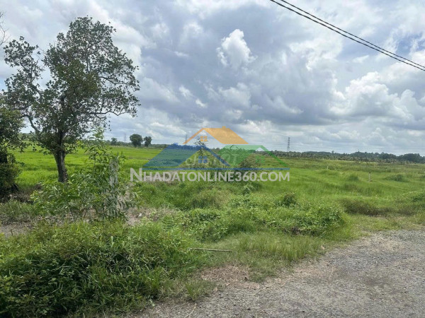 Đất đẹp–giá tốt–chính chủ bán gấp lô đất 2 mặt tiền đường hồ thị búng, tân thạnh tây, củ chi, tp.hcm