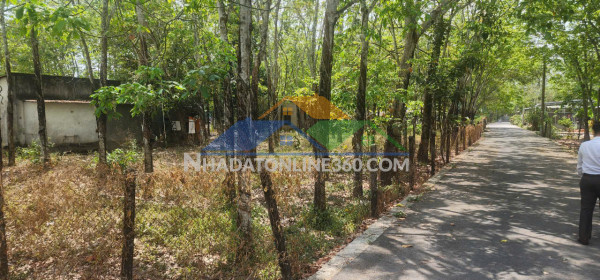 Cần bán quỹ đất lớn 3 mặt tiền ngay sau lưng chợ định hiệp – dầu tiếng