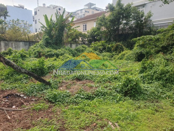 Bán gấp! mt nguyễn oanh p17 gò vấp 637m2, dòng tiền khủng, chỉ 137 tỷ.