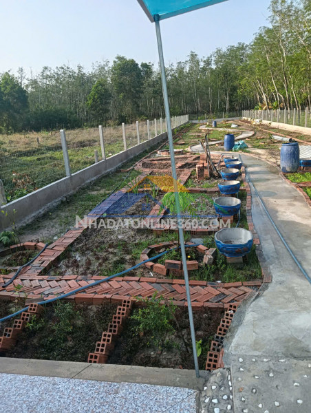 Bán gấp đất nghỉ dưỡng full tiện ích – gần trường thcs định an, dầu tiếng, bình dương