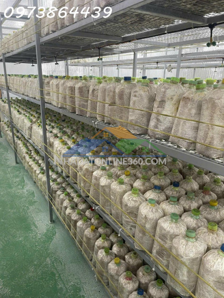 Bán đấ-  tặng xưởng nấm - pin năng lượng mặt trời mặt tiền kinh doanh - tại củ chi - ngang 18m - 2300m2 - giá 12 tỷ tl