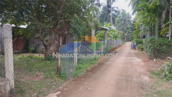 Đất đẹp – giá tốt –chính chủ cần bán đất đường trần tôn thất, hoài xuân, thị xã hoài nhơn, bình định