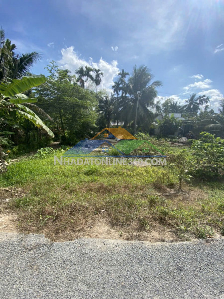 Chính chủ cho thuê liền kề gamuda gardens hoàng mai, hà nội– nhà mới hoàn thiện