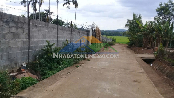 Chào bán lô 81m2 siêu đẹp tại trục thông đường đá -  hoa động, đối diện chung cư huê