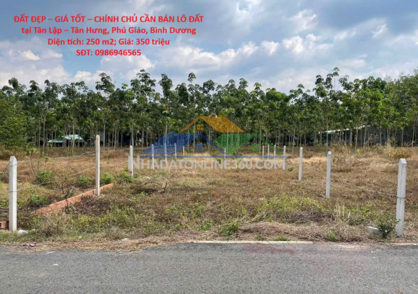 Đất đẹp – giá tốt – chính chủ cần bán lô đất tại tân lập – tân hưng, phú giáo, bình dương