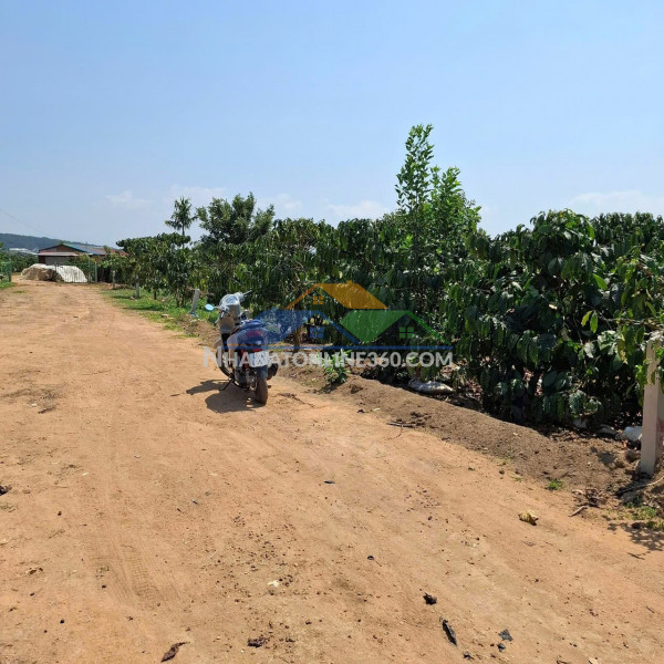 Đất  đẹp – giá tốt – chính chủ cần bán nhà thôn phúc hợp,  phúc thọ,  lâm hà, tỉnh lâm đồng