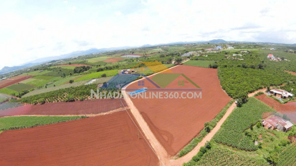 Cần bán lô đất siêu đẹp 3 mặt tiền tại tân hội, đức trọng, lâm đồng, 260m mặt tiền