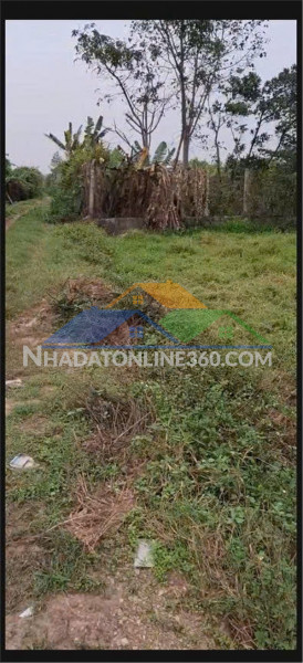 Đất đẹp- giá tốt chính chủ cần bán lô đất tiềm năng tại huyện quốc oai, tp hà nội