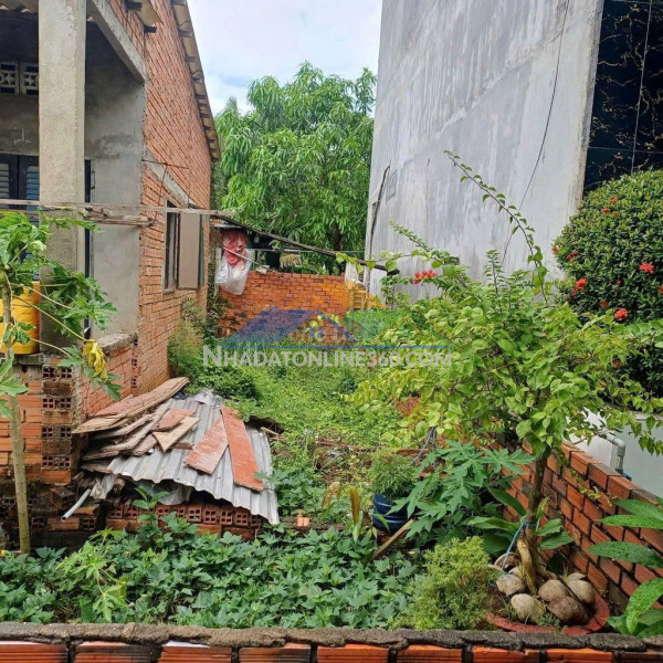 Bán nhanh lô đất thổ cư bình chánh , đa phước – giá tốt