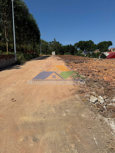 Bán đất thượng tùng, yên dũng, bắc giang. 106m2- mt 6,3m. đường ô tô. giá 890 triệu