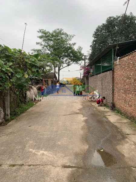 (siêu hiếm) bán 50m² tại tân an- hiền ninh- sóc sơn- hn. đường...